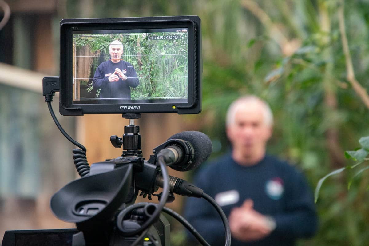 Camera filming at Paignton Zoo