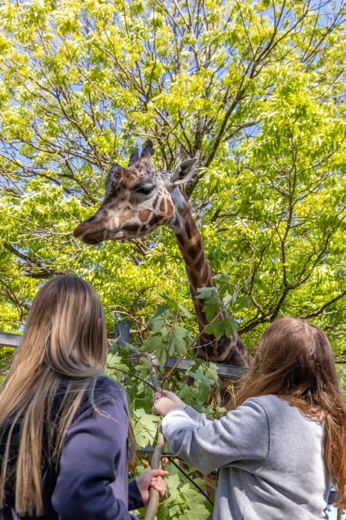 PZ Animal Experiences 30 05 23 LR 2