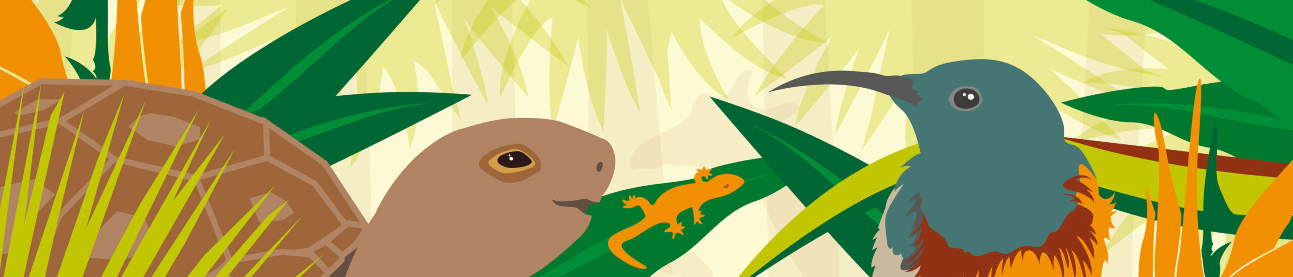 Library Sessions Web Banner scaled