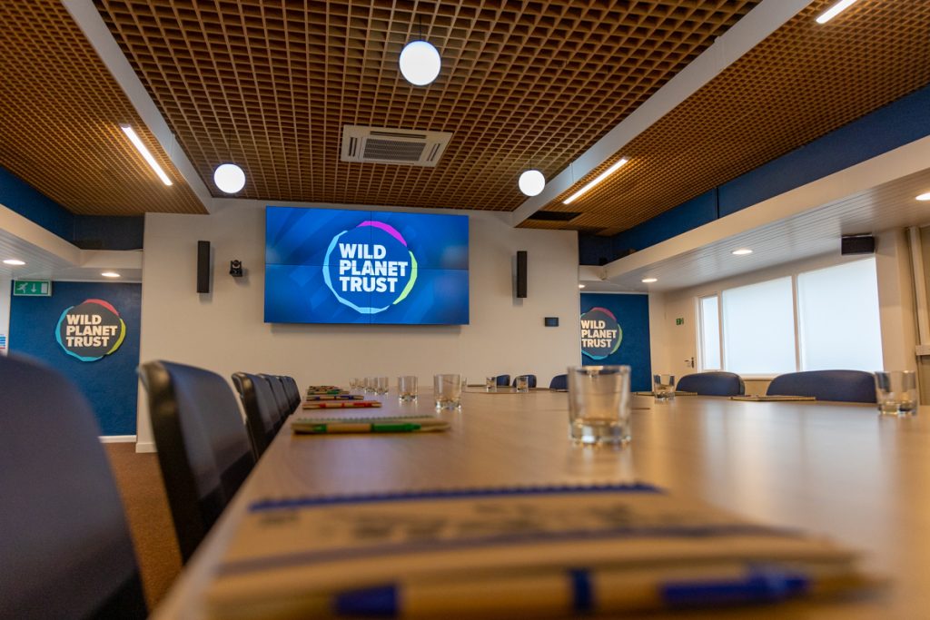 PZ Whiltey Room Promo 03 23 LR 20 1