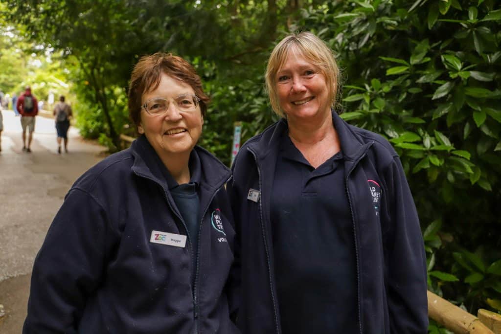 230531 PZ Volunteers LR CC 01