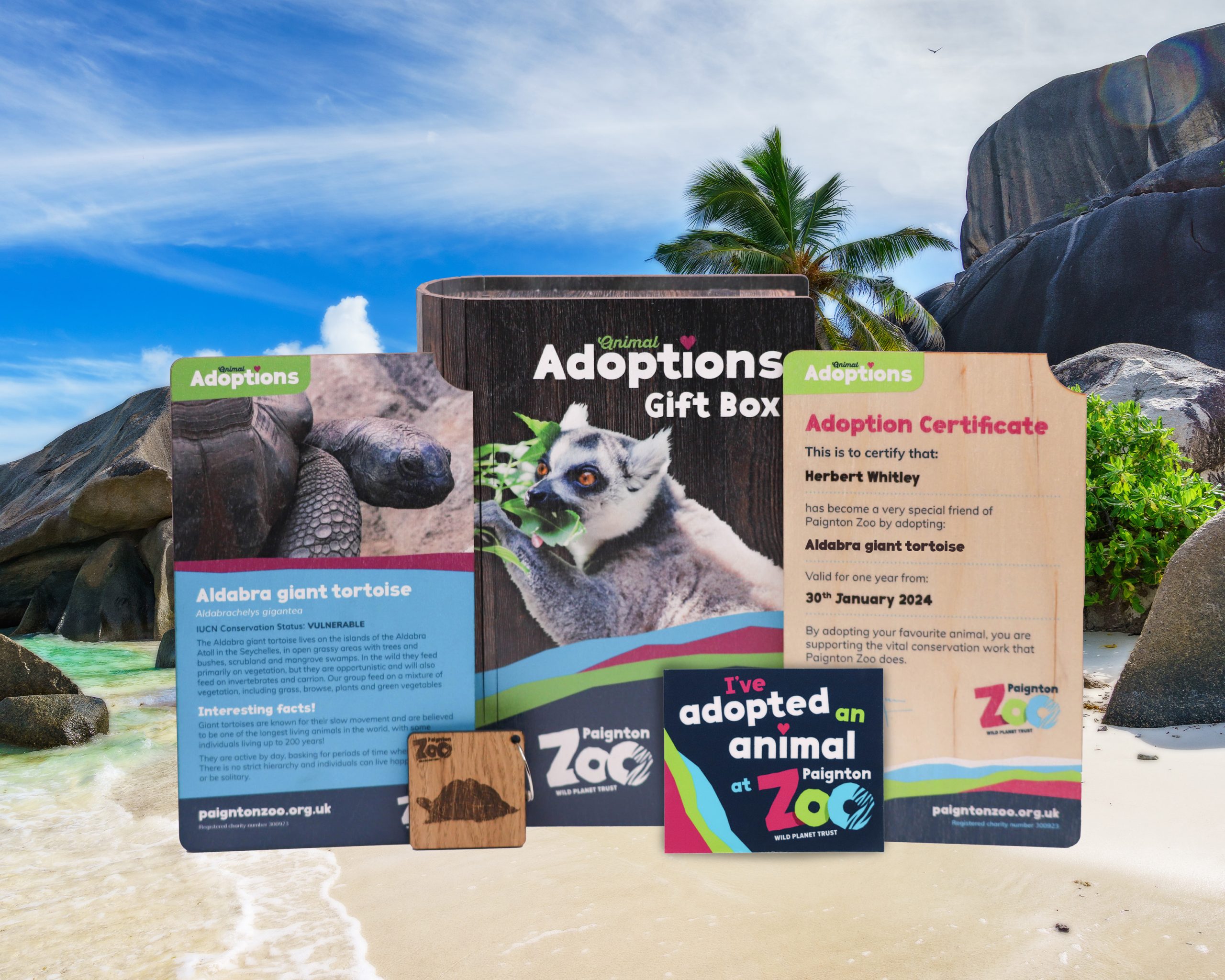 Giant Tortoise Gold Adult Adoption Pack
