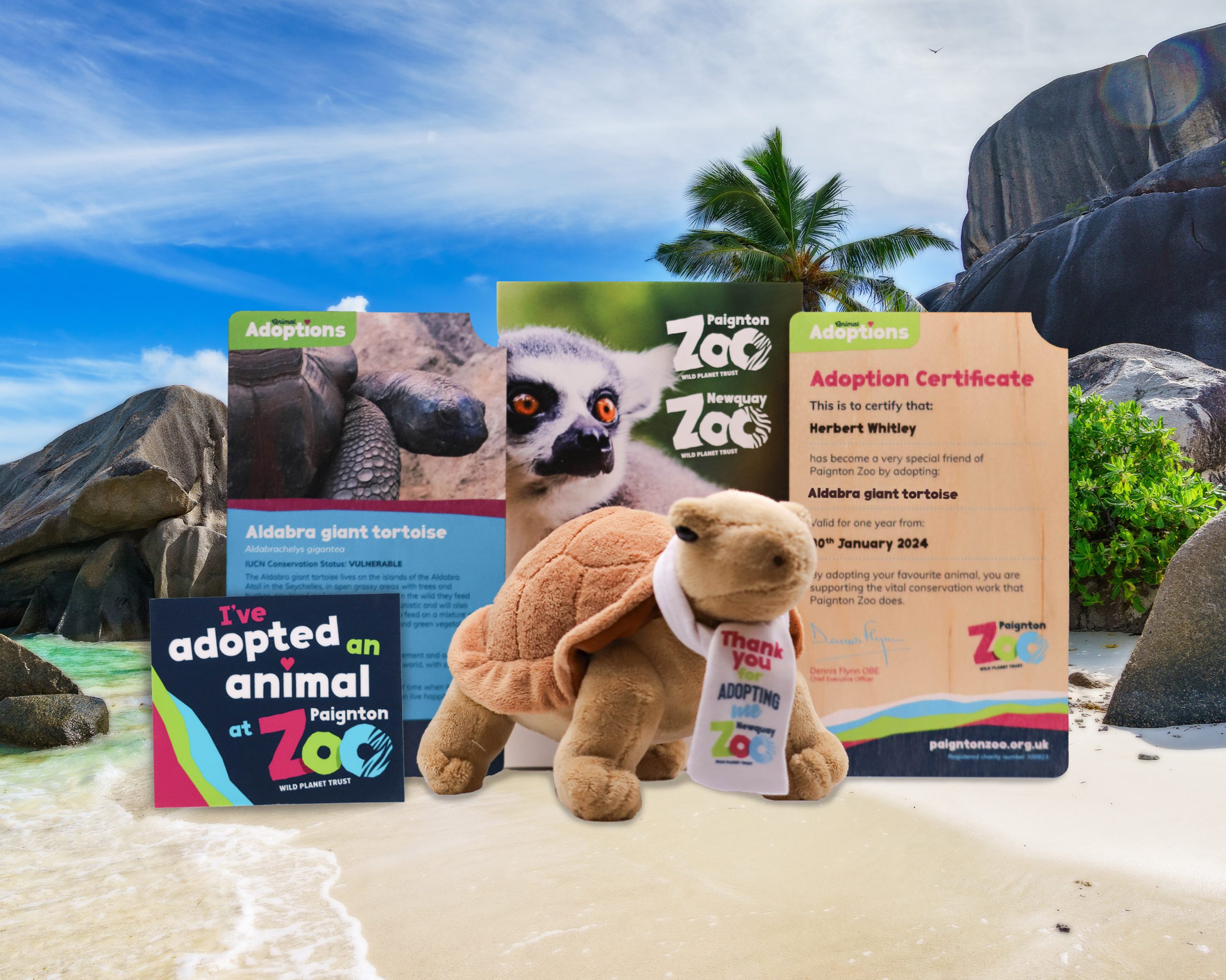 Giant Tortoise Gold Child Adoption Pack