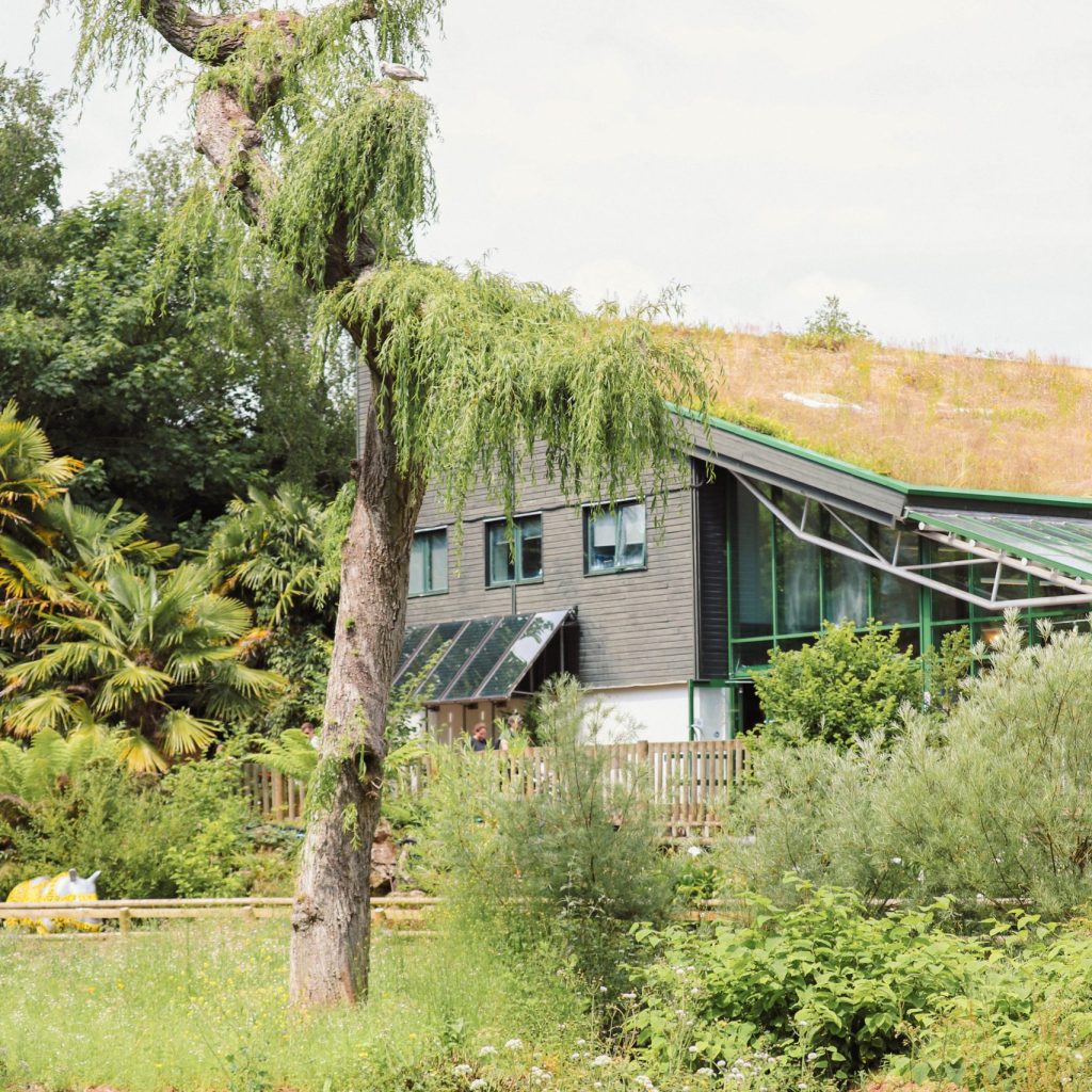 240625 PZ Top Lake Greenery BC HR 5 scaled e1729585273354