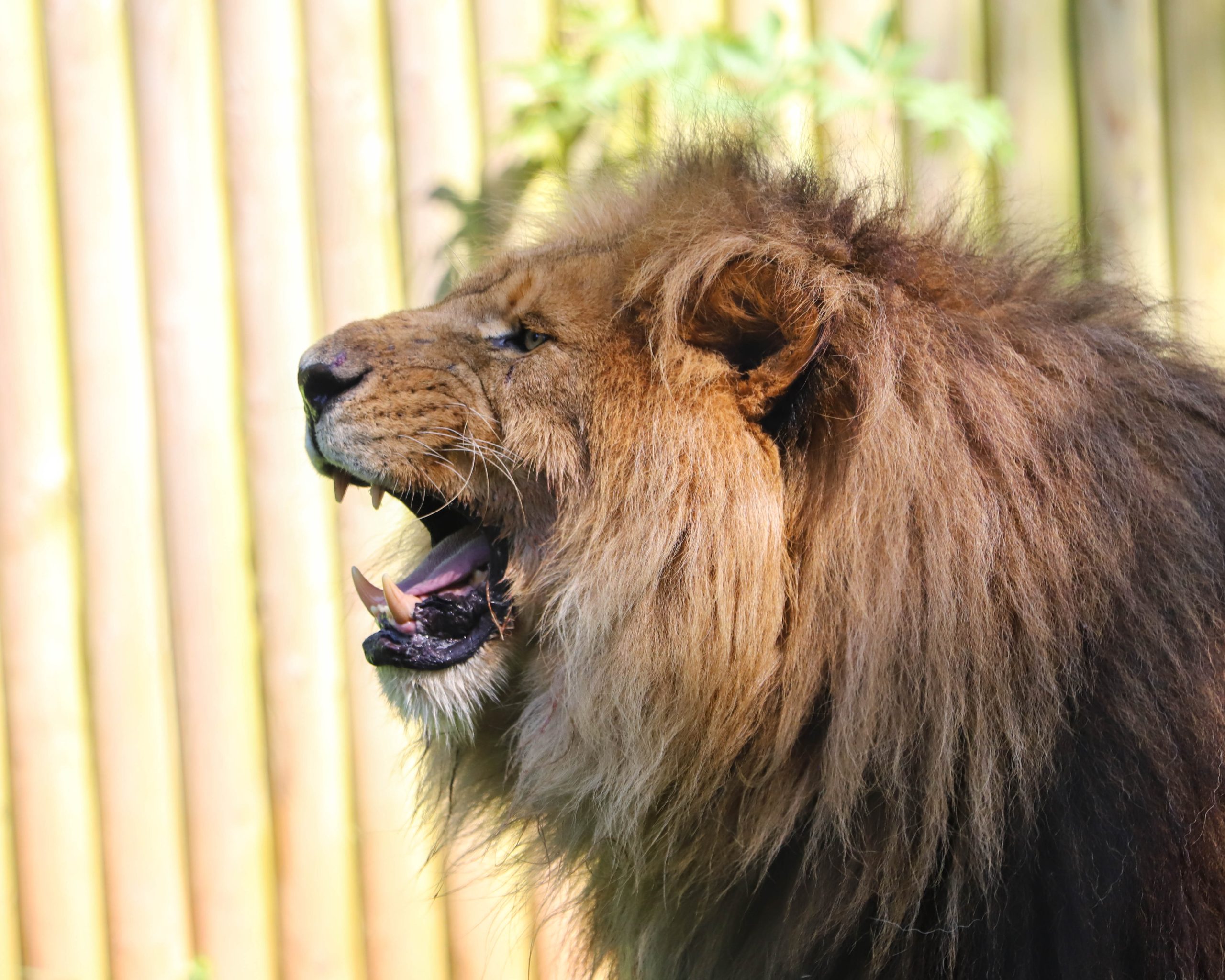 untitled 1 24 scaled