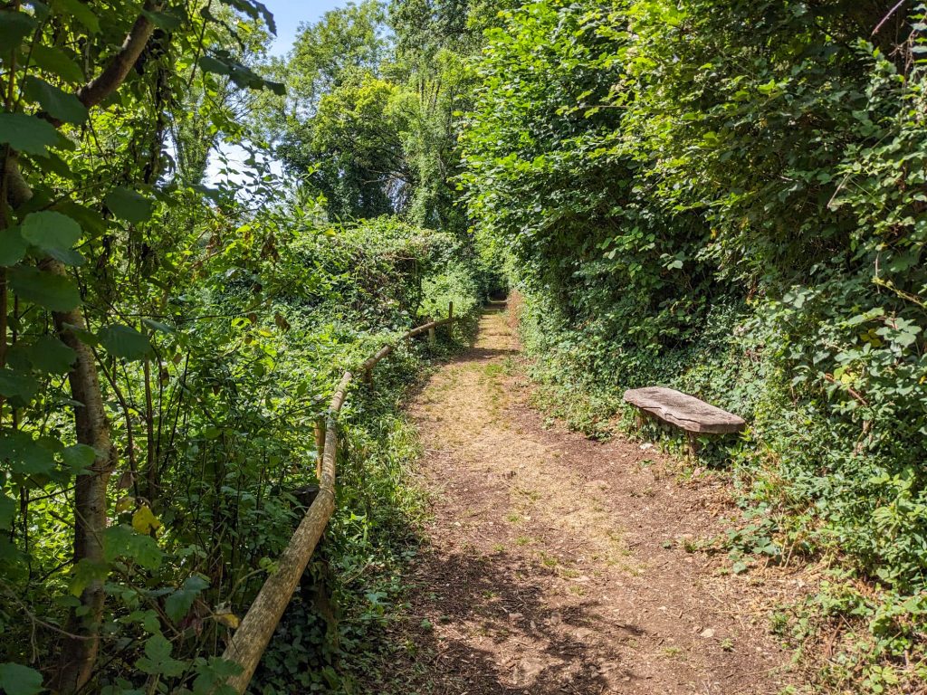 251025 WPT Clennon Nature Trail FA HR 4