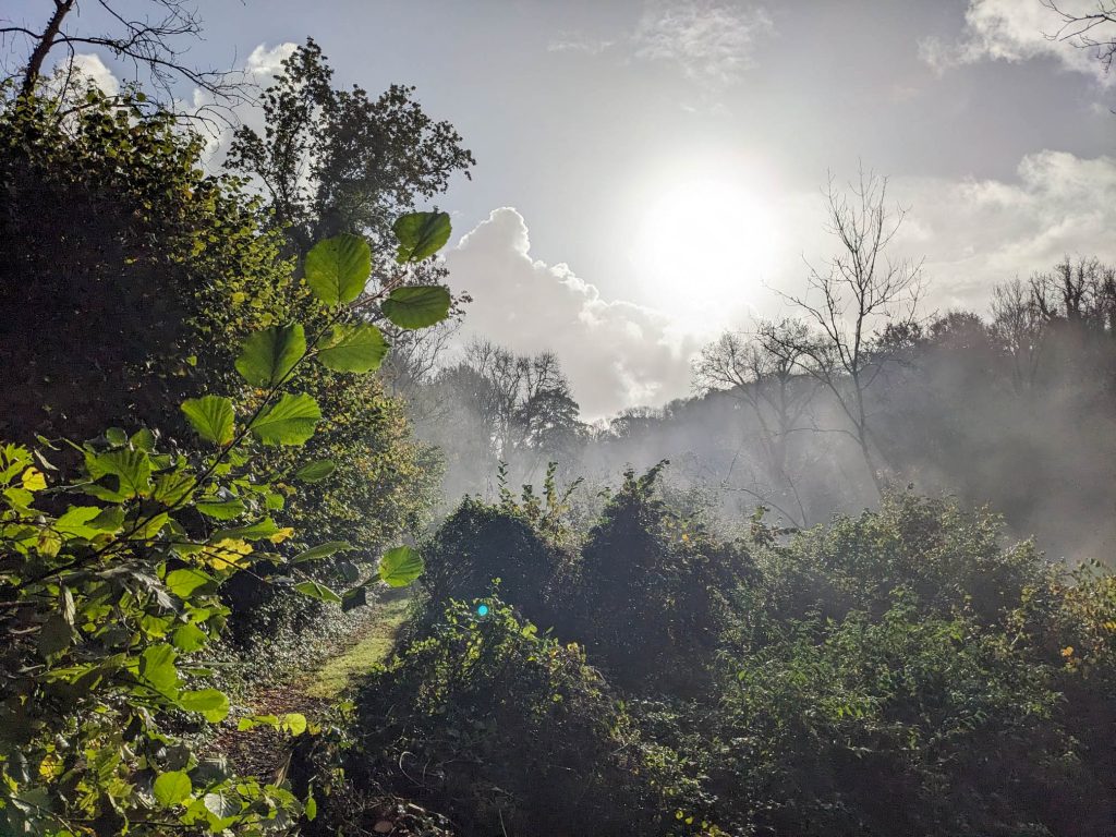 251025 WPT Clennon Nature Trail FA HR 5