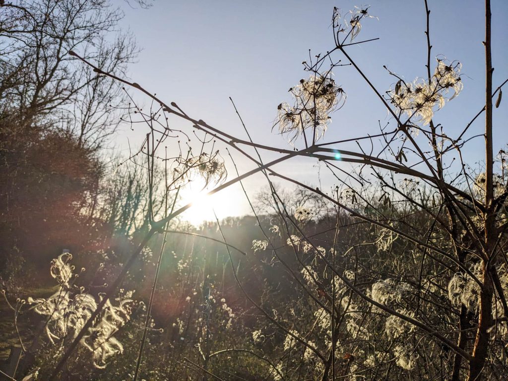 251025 WPT Clennon Nature Trail FA HR 7