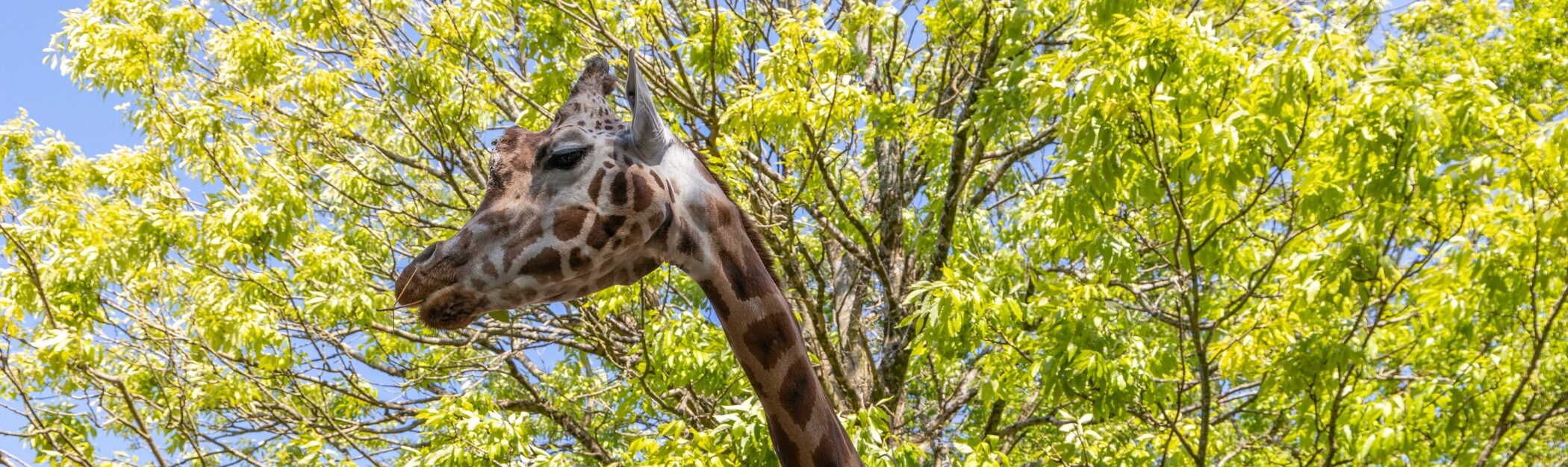 PZ Animal Experiences 30 05 23 HR 3 e1733914491896