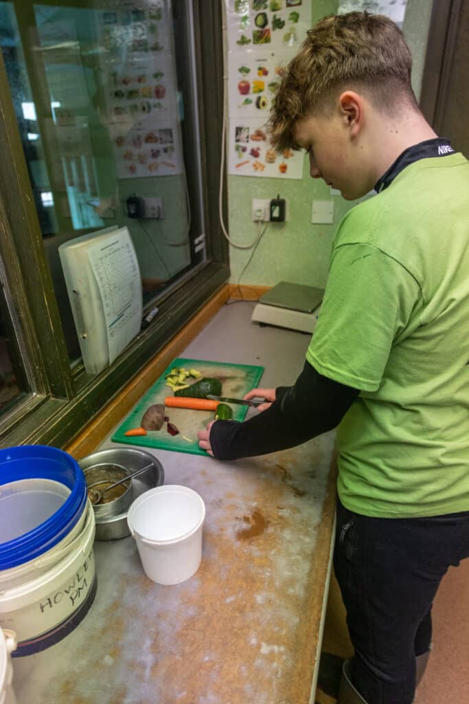 PZ Junior Keeper Exp 02 23 HR 94