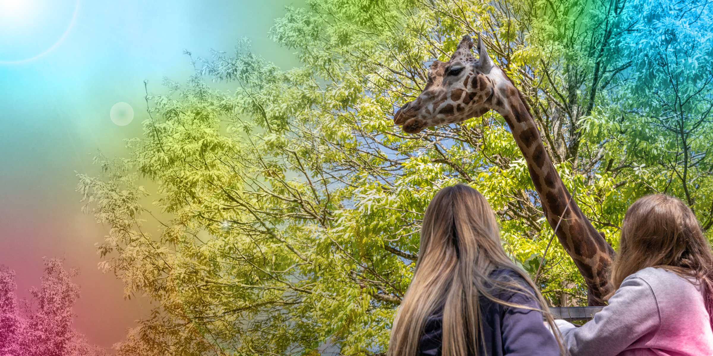 Home Educators Smart Sliders Desktop Background Hi Res