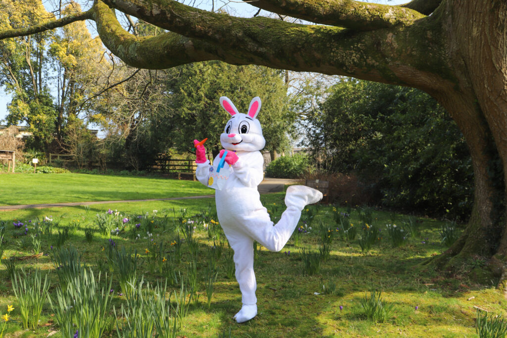 250305 PZ Easter Bunny Shoot BC HR 4