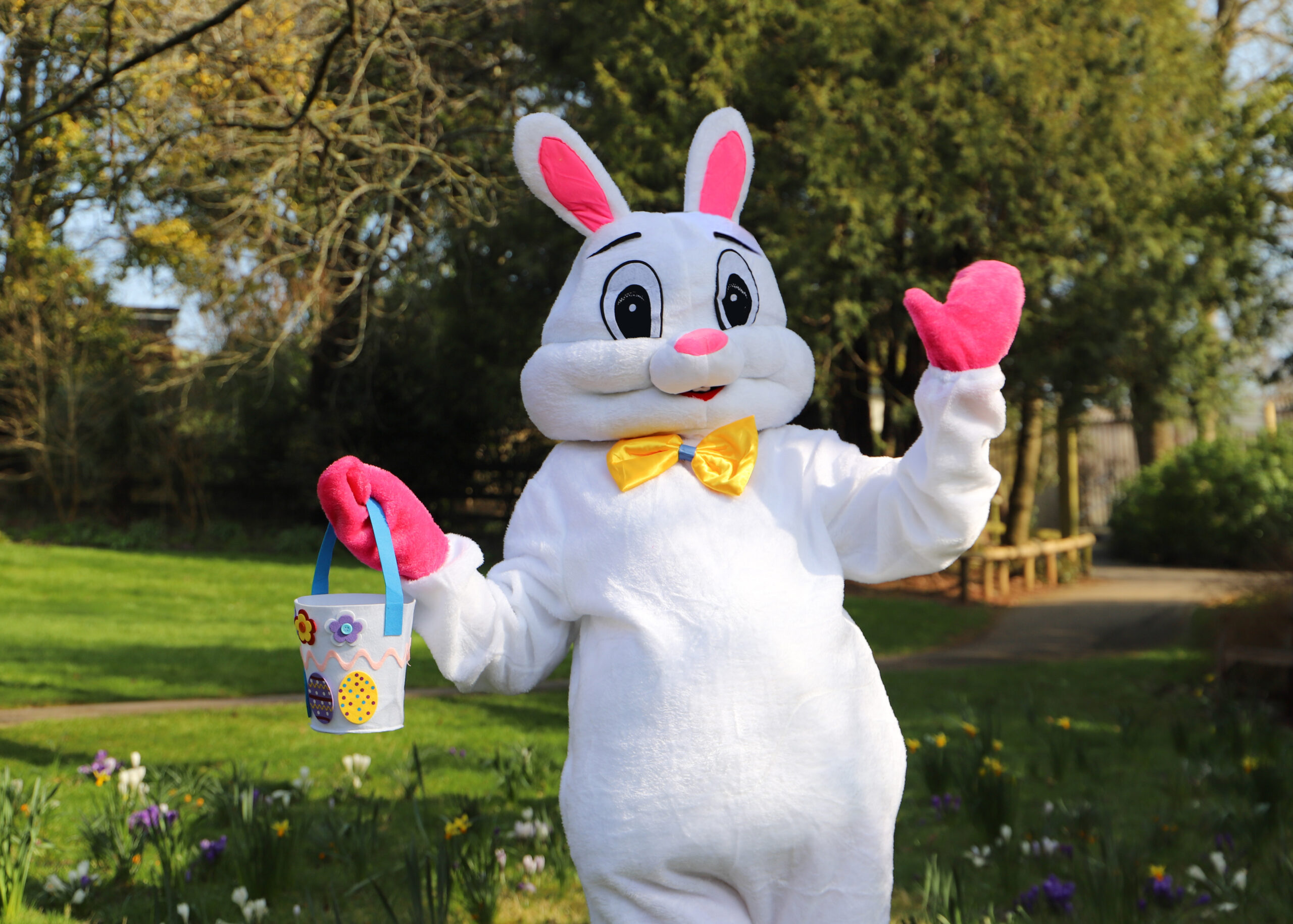 250305 PZ Easter Bunny Shoot BC HR 5 scaled