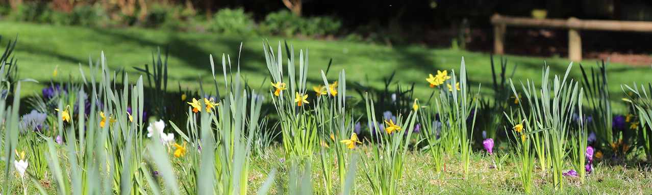 Easter Holidays Paignton Zoo Event 2