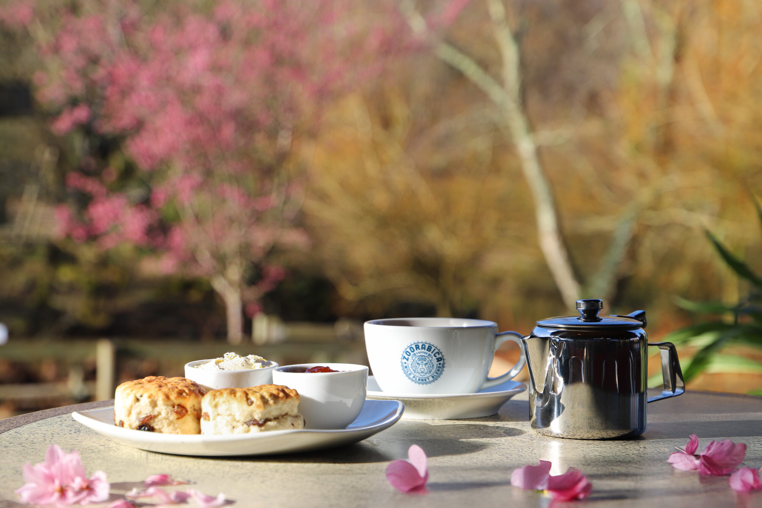 Mother's Day cream tea and garden tour event at Paignton Zoo