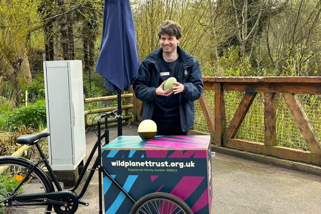 435499217 3039967279471028 6651357147939043136 n