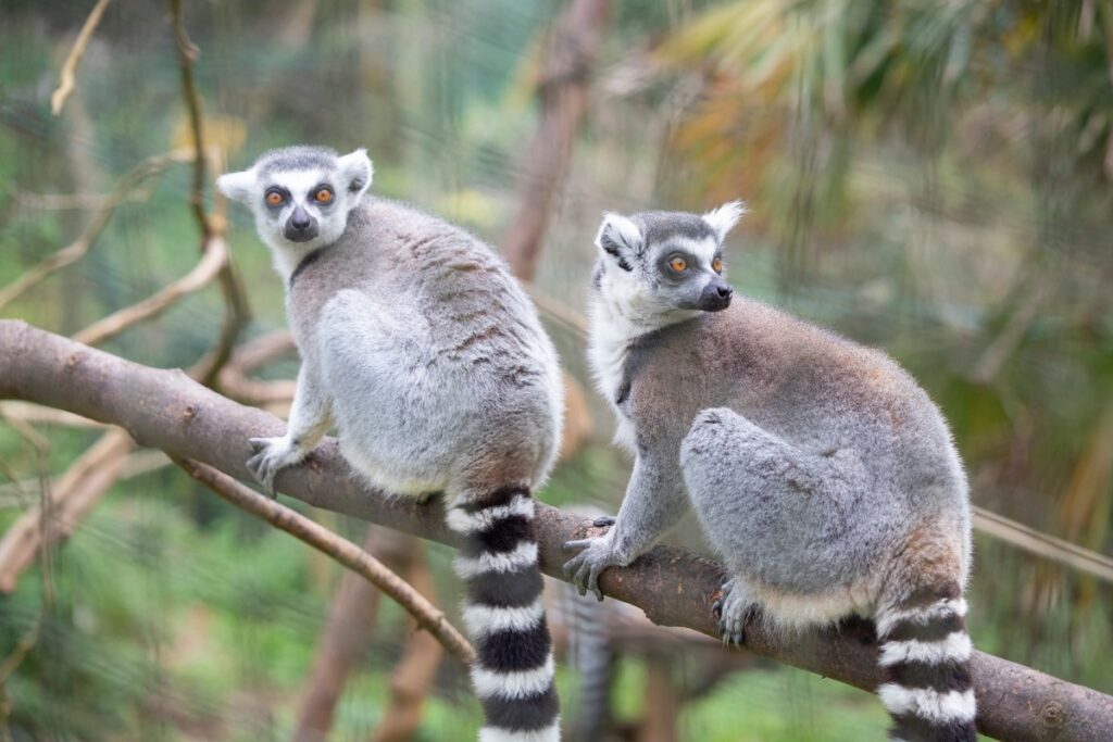 469216874 9002943666393312 3403714893336628607 n