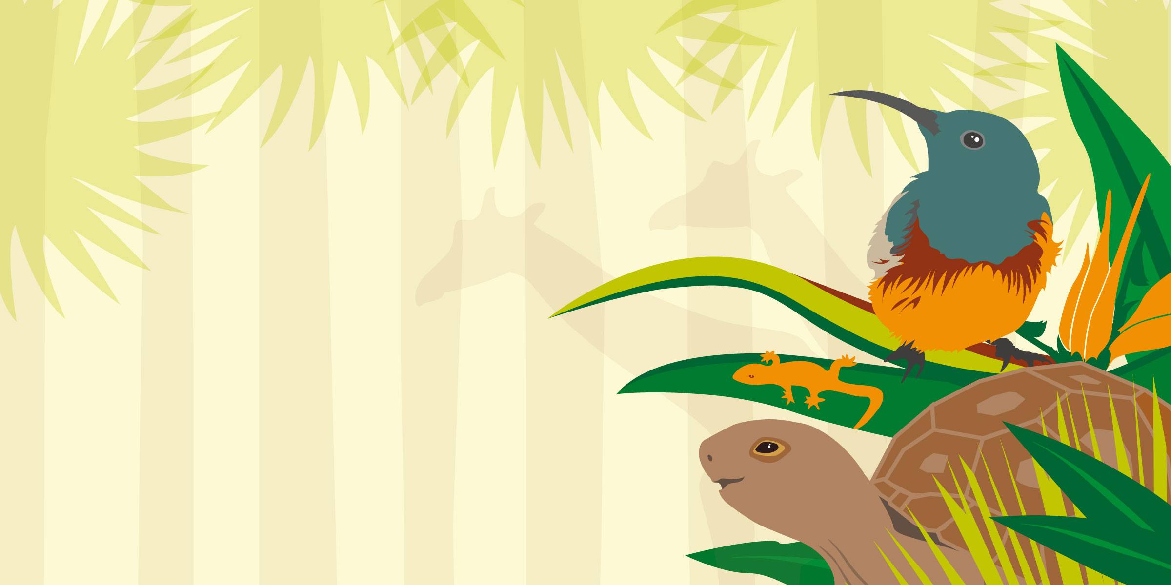 Library Sessions Smart Sliders Desktop Background Hi Res