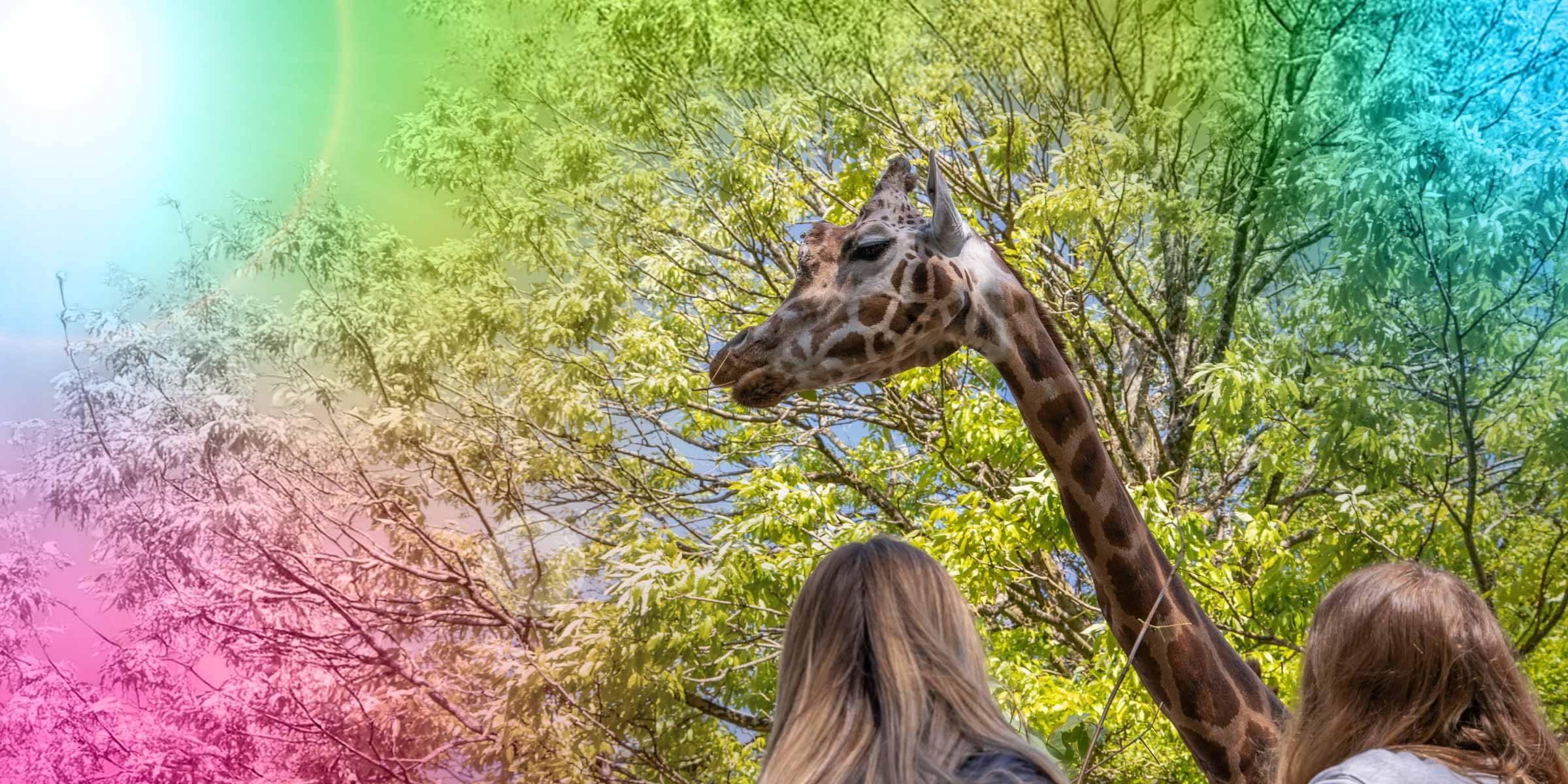 Paignton Zoo Home Educators Slider Desktop Background 2