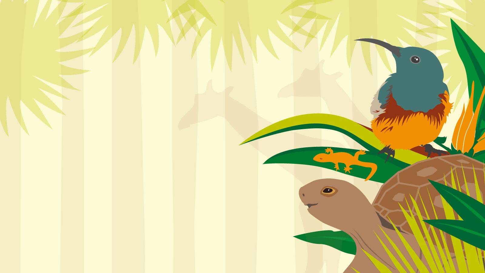 Library Sessions Smart Sliders Mobile Background Hi Res