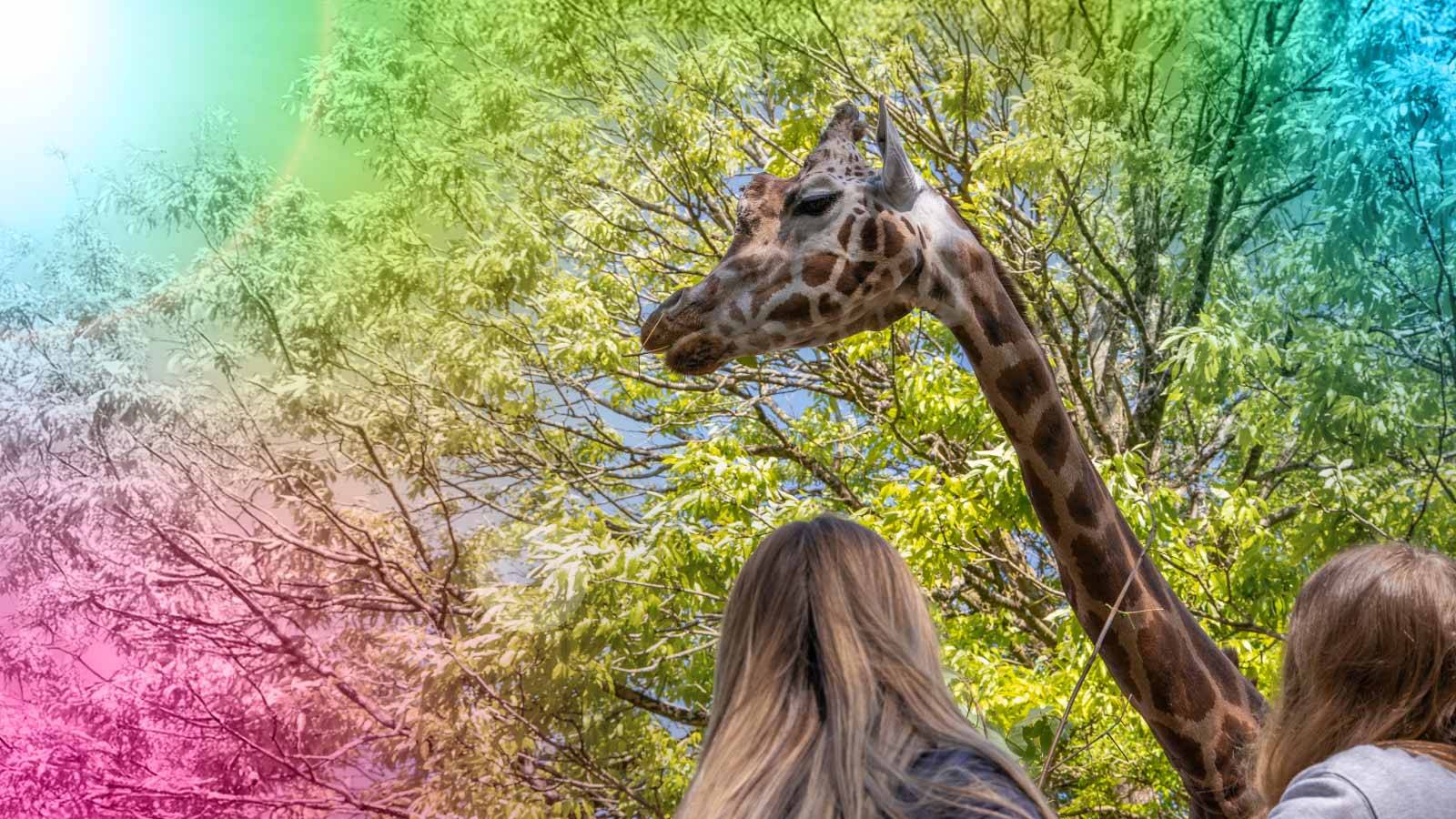 Paignton Zoo Home Educators Slider Mobile Background